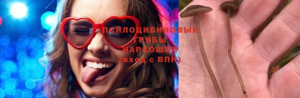 мет Белокуриха